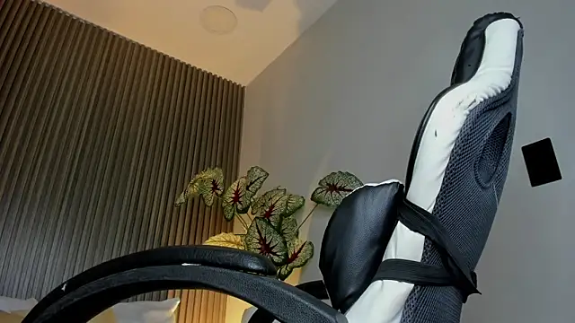 dania miller  online show from 12, 11, 2025