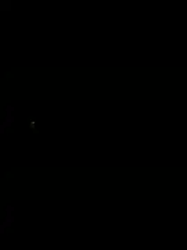 dawiddes online show from 6, 2, 2026