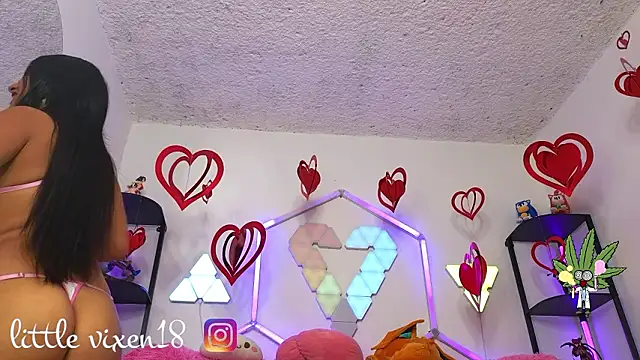 littlevixen18 online show from 25, 2, 2026