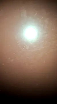 tall nangu online show from 21, 2, 2025