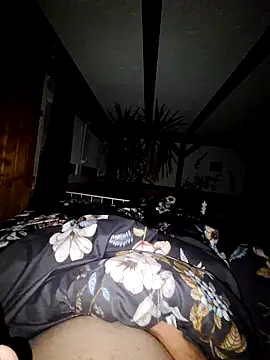 schlonzi81 online show from 29, 12, 2024