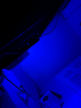 hotNReady6969 online show from 10, 10, 2025