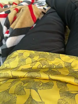 Snapshot of heena13 chatting on 12, 11, 2025 heena13 online show from 12, 11, 2025