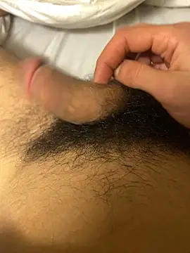 TENDo 519 online show from 15, 3, 2026