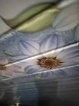 kunalmishra2003 online show from 20, 11, 2025