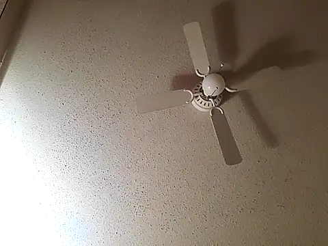 Snapshot of big8dall chatting on 22, 10, 2025 big8dall online show from 22, 10, 2025