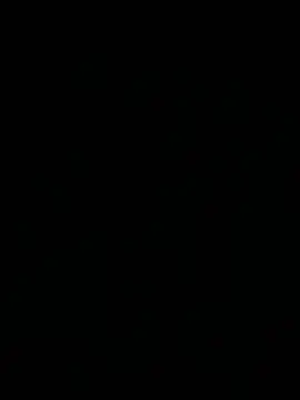 Cesywet online show from 6, 11, 2025