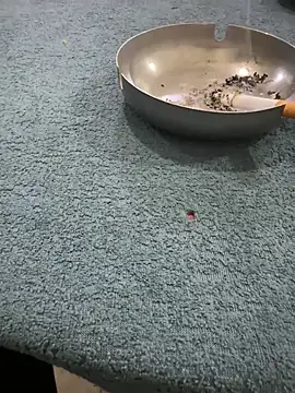 homidor online show from 8, 1, 2025