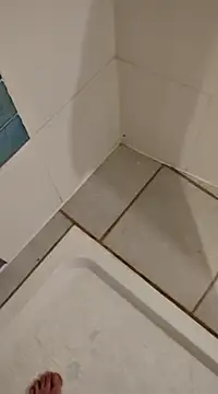 Snapshot of Ariete80s chatting on 21, 2, 2025 Ariete80s online show from 21, 2, 2025