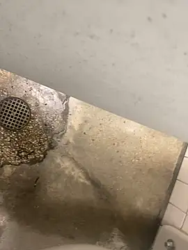 zeekBbc online show from 10, 12, 2024