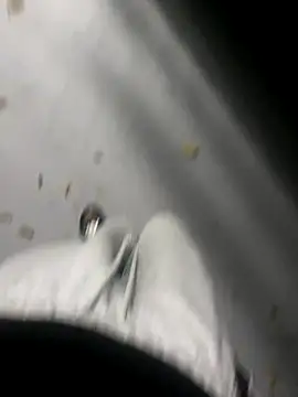 zeekBbc online show from 16, 11, 2025