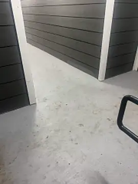 zeekBbc online show from 8, 2, 2026