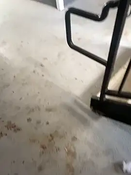 zeekBbc online show from 26, 2, 2026