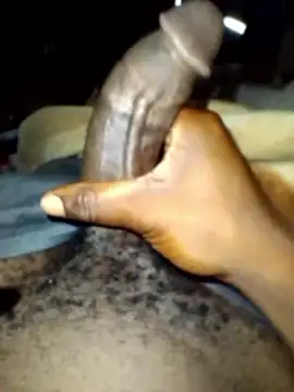 January256 online show from 17, 1, 2026