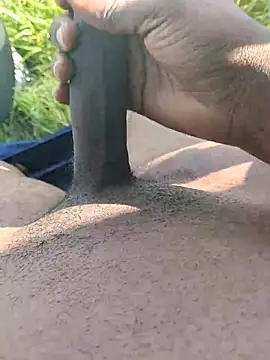 Snapshot of dhaadhawe chatting on 6, 3, 2026 dhaadhawe online show from 6, 3, 2026