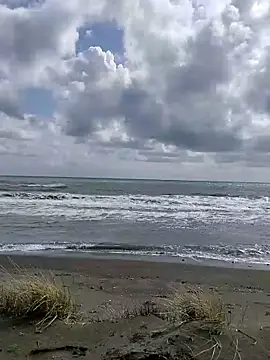 Snapshot of dhaadhawe chatting on 21, 3, 2026 dhaadhawe online show from 21, 3, 2026