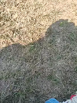 Snapshot of Gururonny07 chatting on 27, 1, 2025 Gururonny07 online show from 27, 1, 2025