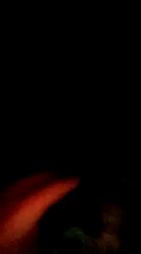 doggiepossession online show from 7, 3, 2025