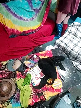 Boo-boo kittyfux online show from 15, 10, 2025