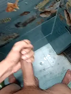 Mr joh online show from 12, 2, 2026