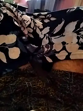 indian   fucker online show from 23, 9, 2025