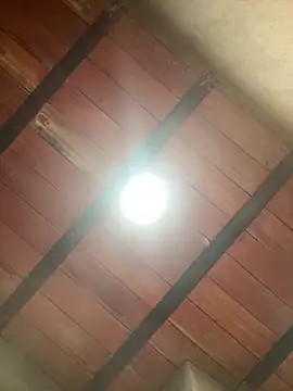 MollySanders    online show from 13, 12, 2025