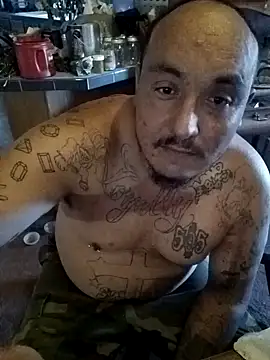 wilsons12 online show from 15, 9, 2025