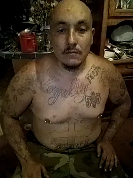 wilsons12 online show from 16, 9, 2025