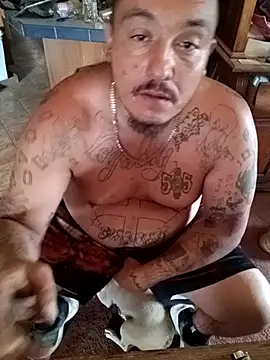 wilsons12 online show from 9, 10, 2025