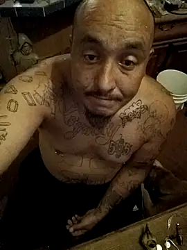 wilsons12 online show from 7, 11, 2025