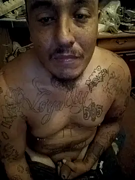 wilsons12 online show from 17, 11, 2025