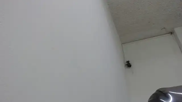 sexy lady 0 online show from 13, 2, 2025