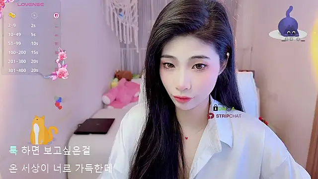 Snapshot of Vaidurya-Yolo chatting on 10, 11, 2025 Vaidurya-Yolo online show from 10, 11, 2025