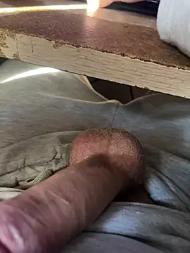 toto36643 online show from 3, 2, 2026