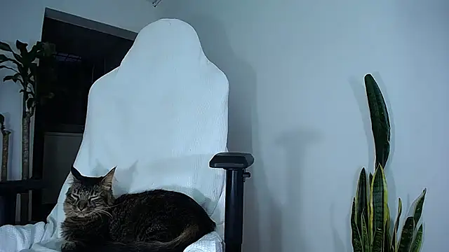 diamond black00 online show from 24, 2, 2025