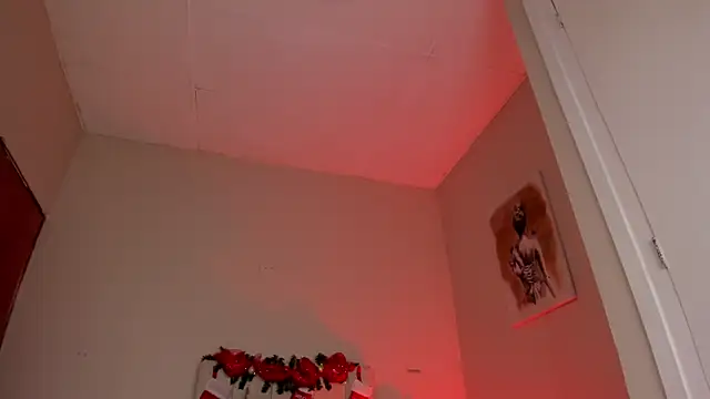 dani skinny  online show from 27, 12, 2024