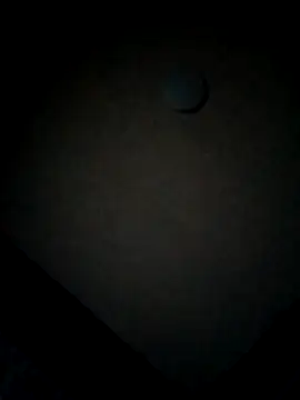 minitranca online show from 12, 2, 2026