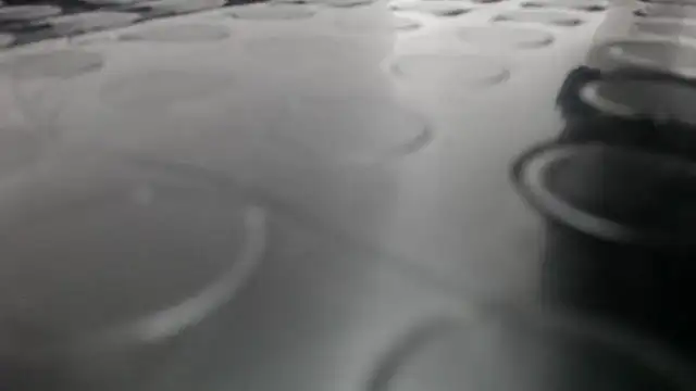 Kitten Hot  online show from 13, 11, 2025