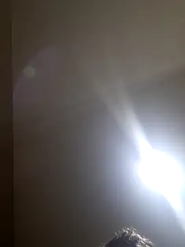 Colorao4 online show from 7, 11, 2025