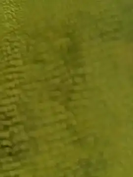 Snapshot of sadunt chatting on 17, 12, 2025 sadunt online show from 17, 12, 2025