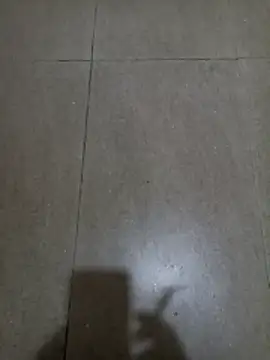 wildfox566 online show from 18, 1, 2026