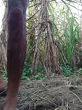 cjonybab online show from 18, 11, 2025