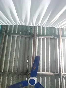 hotbaby 5 online show from 18, 11, 2025