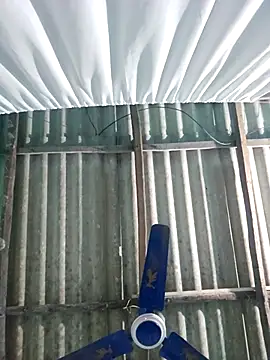 hotbaby 5 online show from 22, 11, 2025