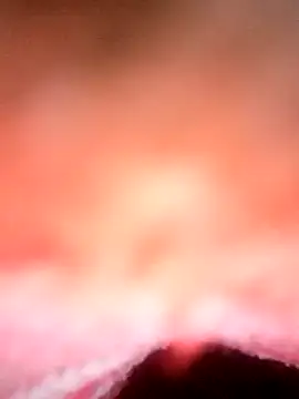 Snapshot of Avantika19 chatting on 6, 1, 2025 Avantika19 online show from 6, 1, 2025