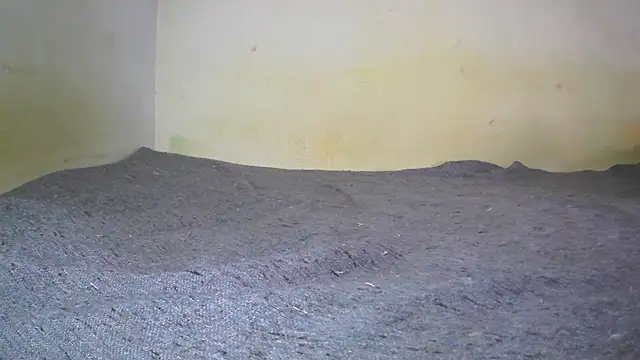 Snapshot of fern_tlk chatting on 1, 2, 2025 fern tlk online show from 1, 2, 2025