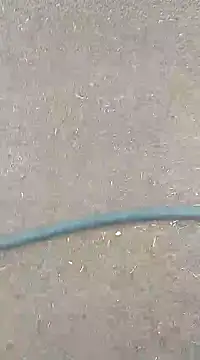 AuntyLover BhabhiLover  online show from 7, 2, 2025