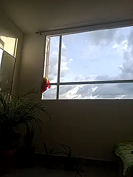 Snapshot of Dangerouspassion777 chatting on 30, 9, 2025 Dangerouspassion777 online show from 30, 9, 2025