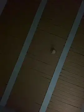 Snapshot of macg96 chatting on 17, 12, 2025 macg96 online show from 17, 12, 2025