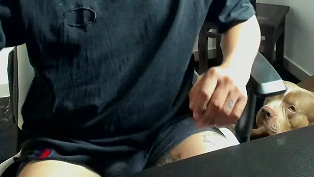 stebankechima online show from 15, 10, 2025